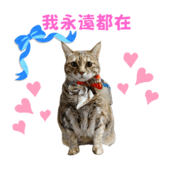 進財不給抱