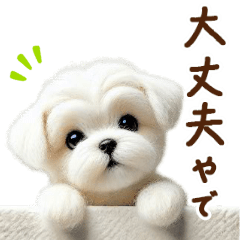関西弁で動く♡羊毛マルチーズの家族連絡