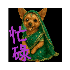 Yorkshire Terrier is Baby
