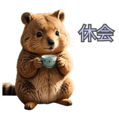 卡哇伊短尾矮袋鼠2（簡体字）