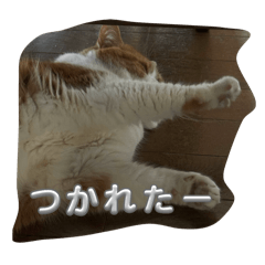 kaito_20250406221158