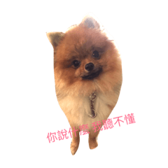翹鼻圓圓