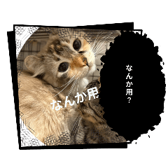 runa_20250406234658