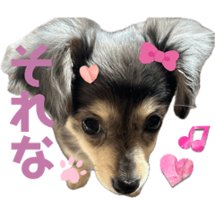 yuina_20250406235513