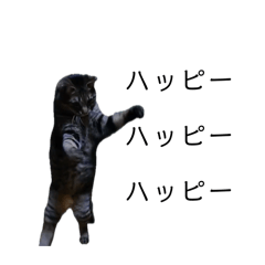 e_20250407000948