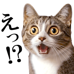 動く!猫の日常2