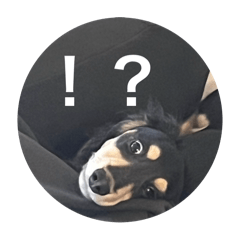 HIMAWARI_20250407001809