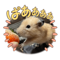 Ruby_20250407002931