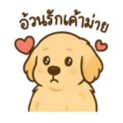 Puppy Mood Golden