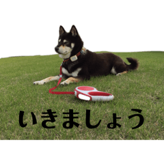 rk_20250407004406