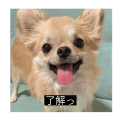 mo_20250407012510