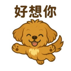 Maltipoo daily