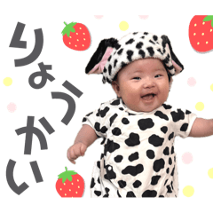 wakana_20250407014235