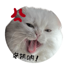 茉茉喲