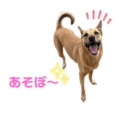 sho_20250407071010