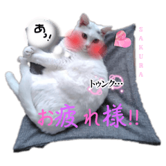 YUI_20250407065355
