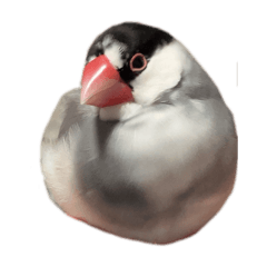 haru_20250406232117