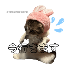 NANA_20250406234733