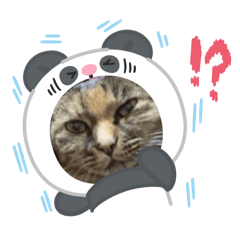 kinako_20250407085302