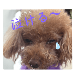 Hanako_20250407104