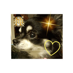 karin_20250407102918