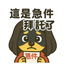 戴假髮狗狗的上班日常