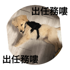 大大出任務