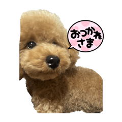 Kana_20250407121509