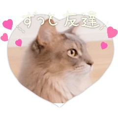 neko_20250407122729