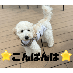 misa_20250407124310