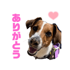 sayaka_20250407130433