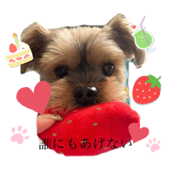 Hikaru_20250407133627