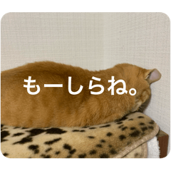 ym_20250407062333
