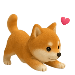 *Move! Cute Mame Shiba