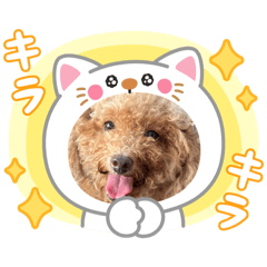 mugi_20250407180558