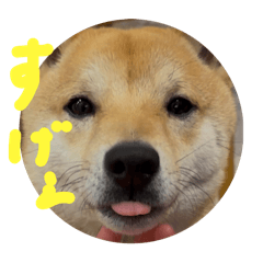 yamada_20250407162220