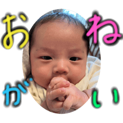 Shu.S_2025