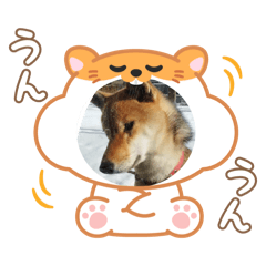 Kinako_20250407141512