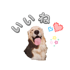 kyoumoiihi123
