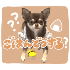 bibi_20250407191132
