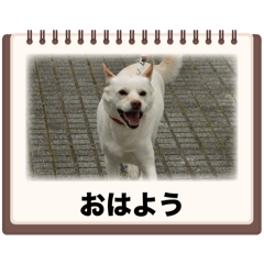 hima_20250407190258
