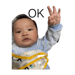 meichichi