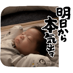 sho_20250407200556