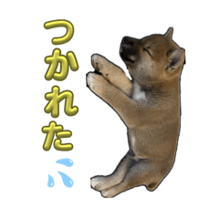 ponta_20250407202148