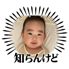 momo_20250407144810ccc