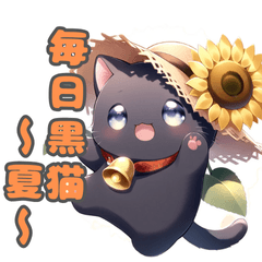 Everyday Black Cat: Summer Vibes