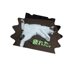 AKI_20250407170359
