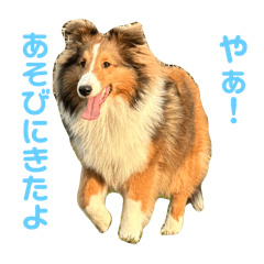 maron_20250407203153