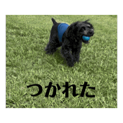 yuka_20250407225053