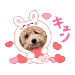YUKO_20250408083845
